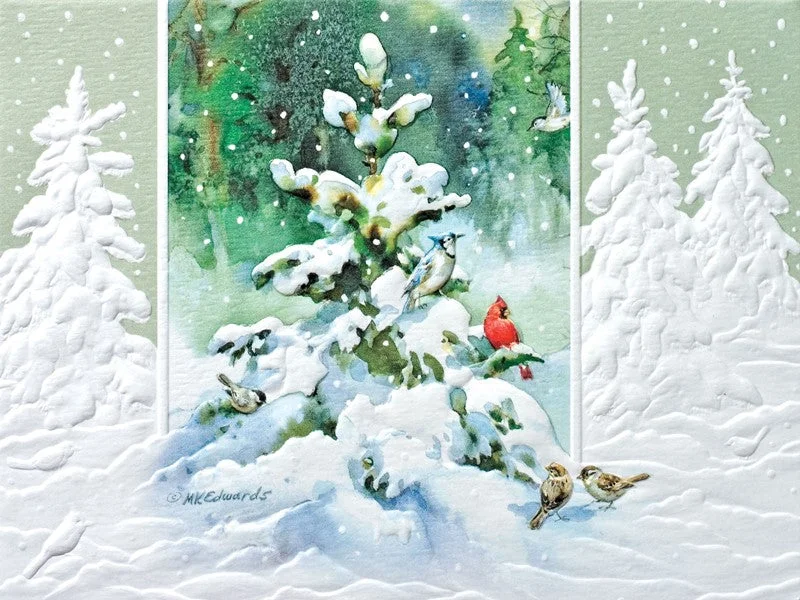 Forest Snow Petite Boxed Cards