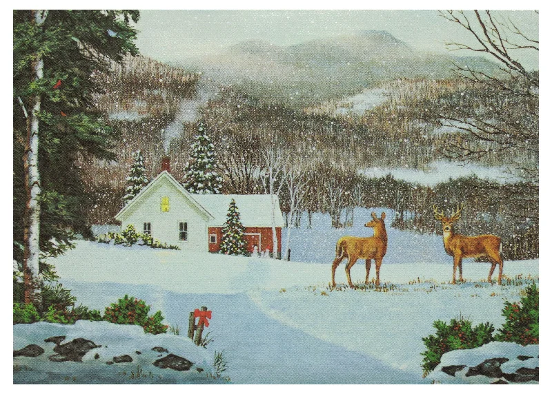 Fred Swan Holiday Boxed Greeting Cards - Christmas Deer