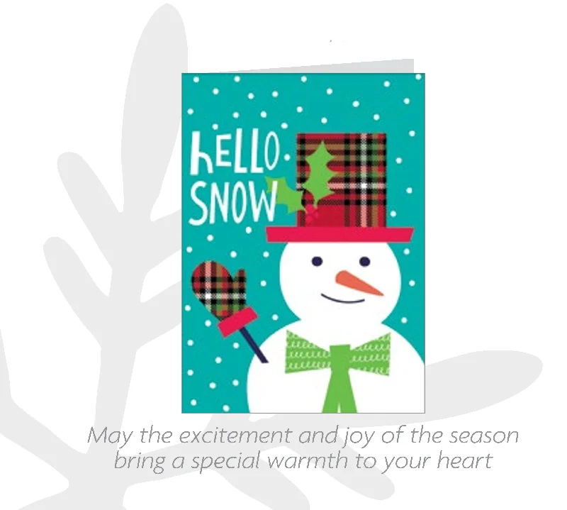 Holiday Favorites 16 Count Card Set - Hello Snow