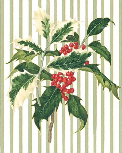 Holly Sprig   Boxed Christmas Cards