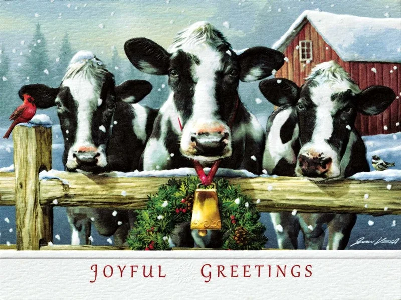 Holstein Hello Petite Boxed Cards