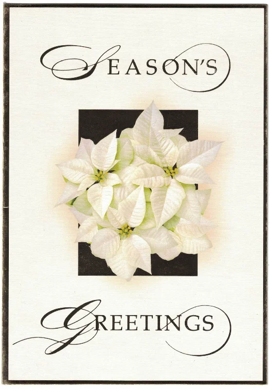 Luxury Favorites - 18 Count Boxed Cards - White Poinsettia