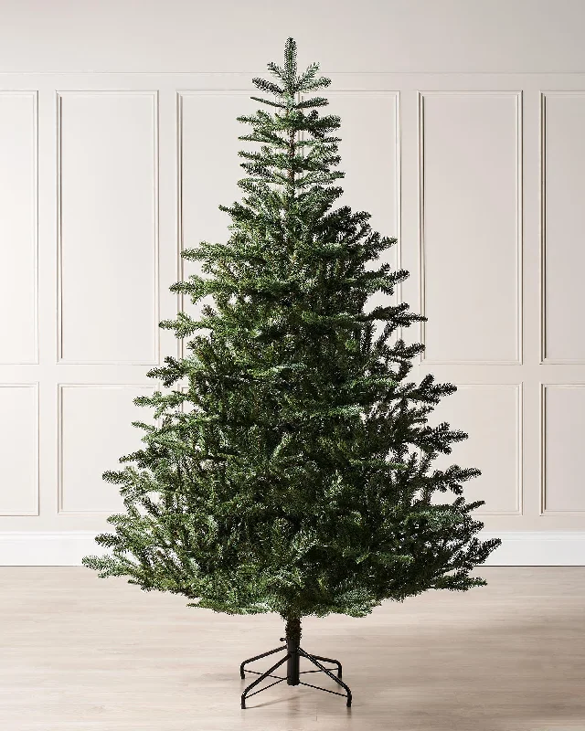 Nordmann Fir Christmas Tree, 7 ft