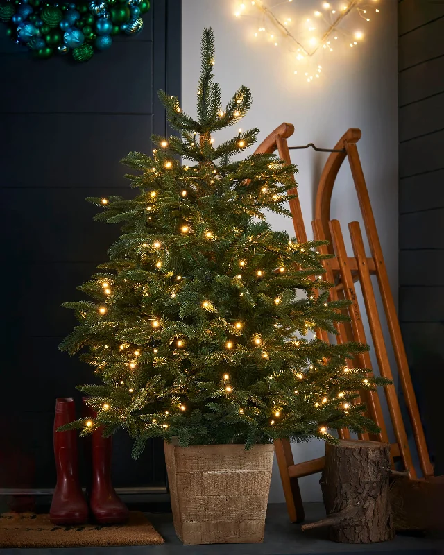 Pre-Lit Potted Alaskan Fir Christmas Tree, 4 ft