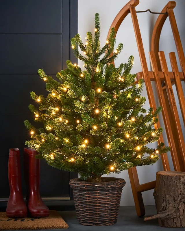 Pre-Lit Potted Dwarf Fir Christmas Tree, 3 ft