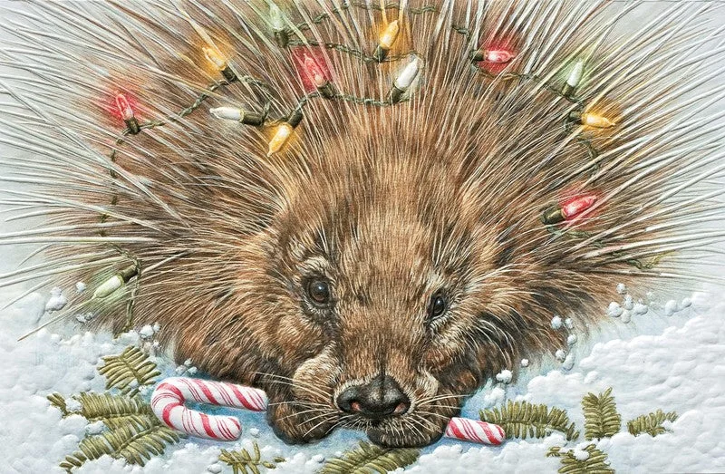 Princley Porcupine Boxed Cards