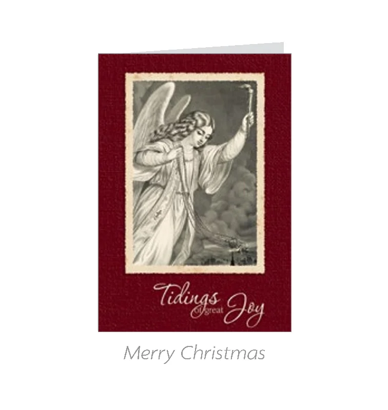 Message of Faith 20 Count Card Set - Tidings of Joy