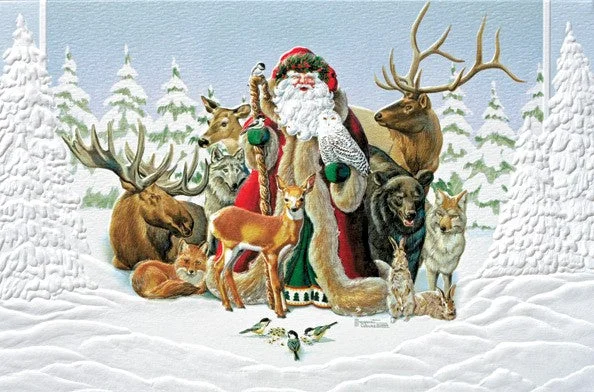 Santa and Animals Boxed Cards