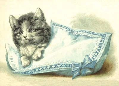 Vintage Style Kitten Postcard by Ernst Freihoff Papierwaren