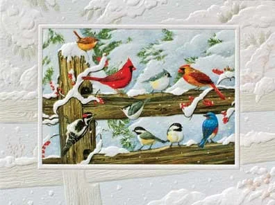 Winter Songbirds Petite Boxed Cards